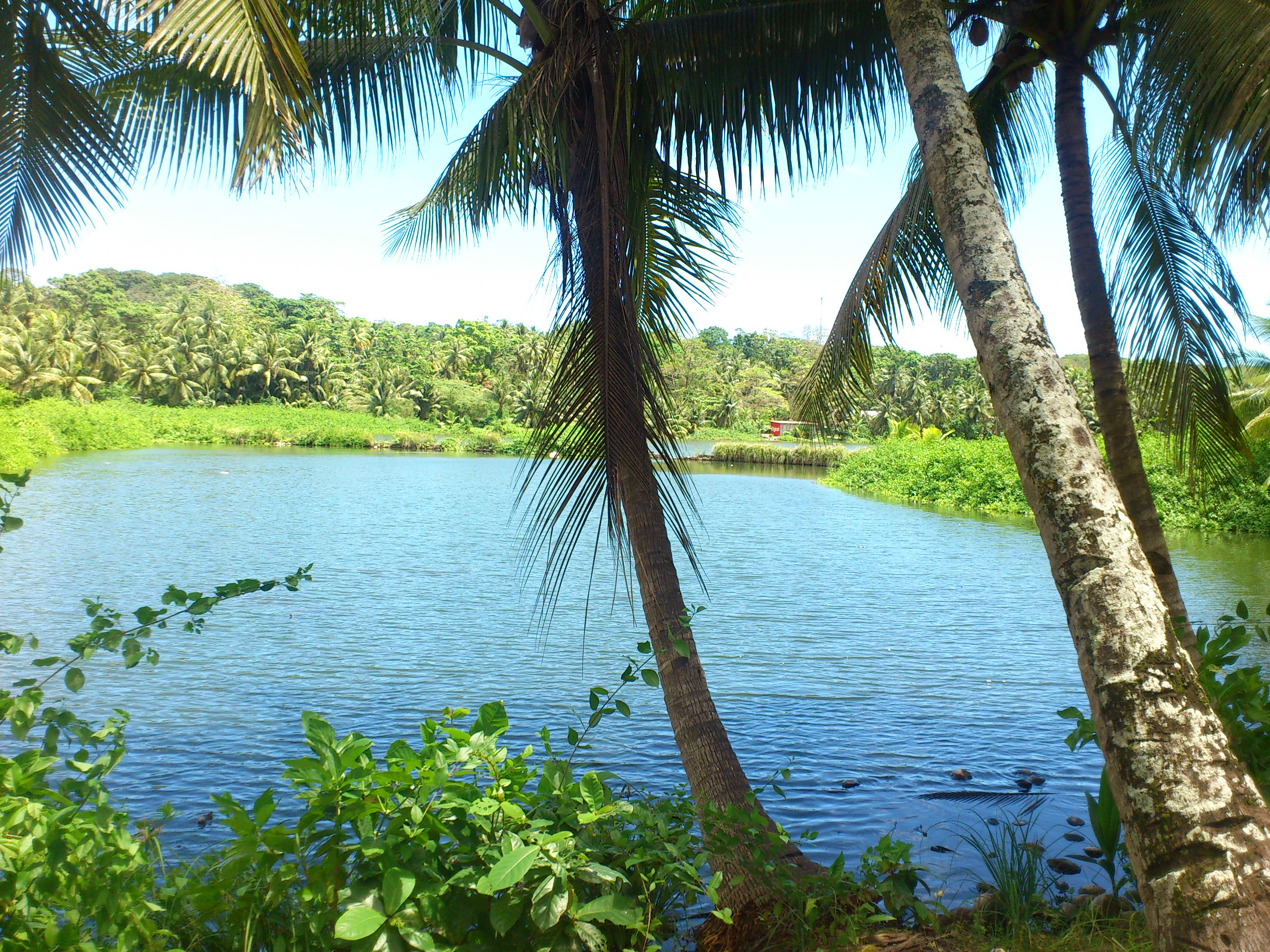 A lagoon on Nauru